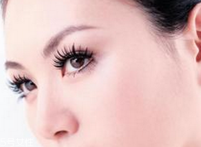 ���ٽ�ë�ľ��岽�� ���ٽ�ë��ע������